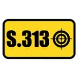313